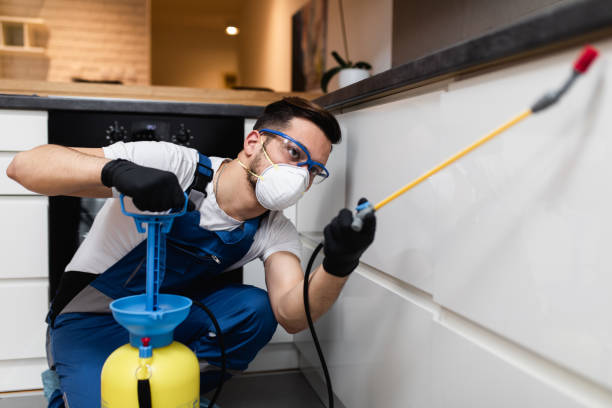 Flea Control Services in Kenmar, PA