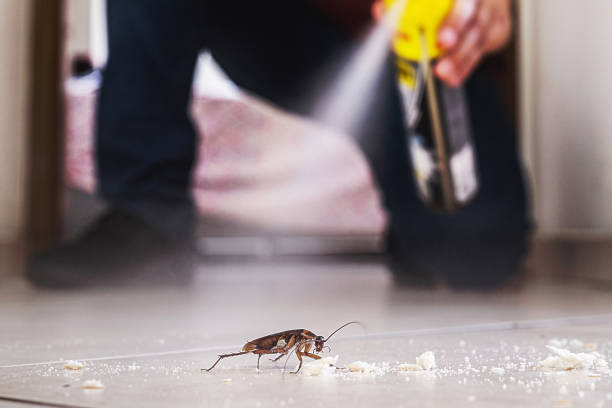 Best Residential Pest Control  in Kenmar, PA
